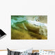 Hawaii, Oahu, Underwater View Of Wave Wall Mural