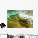 Hawaii, Oahu, Underwater View Of Wave Wall Mural