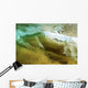 Hawaii, Oahu, Underwater View Of Wave Wall Mural