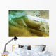 Hawaii, Oahu, Underwater View Of Wave Wall Mural