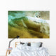 Hawaii, Oahu, Underwater View Of Wave Wall Mural