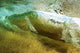 Hawaii, Oahu, Underwater View Of Wave Wall Mural