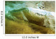 Hawaii, Oahu, Underwater View Of Wave Wall Mural