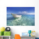 White Boat Floating On Turquoise Water Wall Mural