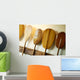 Hawaii, Oahu, Old Hawaiian Canoe Paddles Wall Mural