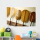 Hawaii, Oahu, Old Hawaiian Canoe Paddles Wall Mural