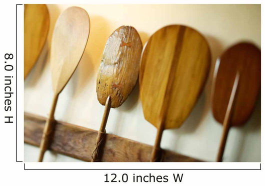 Hawaii, Oahu, Old Hawaiian Canoe Paddles Wall Mural