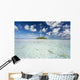 French Polynesia, Tuamatu Isalnds, Blacktip Reff Shark Wall Mural