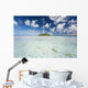 French Polynesia, Tuamatu Isalnds, Blacktip Reff Shark Wall Mural