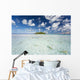 French Polynesia, Tuamatu Isalnds, Blacktip Reff Shark Wall Mural