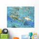 French Polynesia, Rangiroa, Blue Lagoon, Blacktip Reef Shark Wall Mural