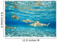French Polynesia, Rangiroa, Blue Lagoon, Blacktip Reff Shark Wall Mural