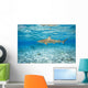 French Polynesia, Rangiroa, Blue Lagoon, Blacktip Reff Shark Wall Mural