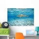 French Polynesia, Rangiroa, Blue Lagoon, Blacktip Reff Shark Wall Mural