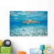 French Polynesia, Rangiroa, Blue Lagoon, Blacktip Reff Shark Wall Mural