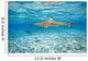 French Polynesia, Rangiroa, Blue Lagoon, Blacktip Reff Shark Wall Mural