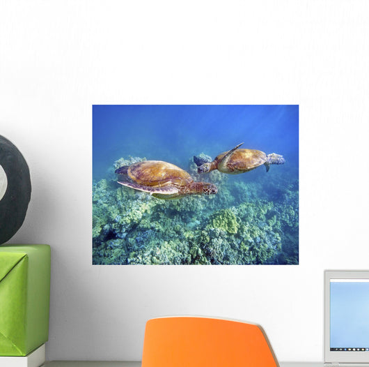 Hawaii, Two Green Sea Turtles, An Endangered Species Wall Mural