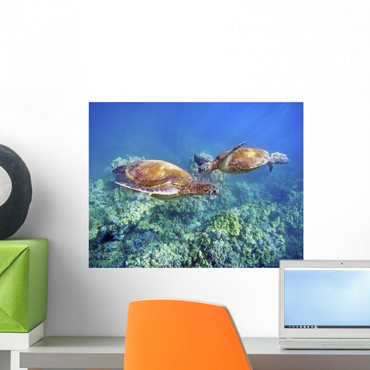 Hawaii, Two Green Sea Turtles, An Endangered Species Wall Mural
