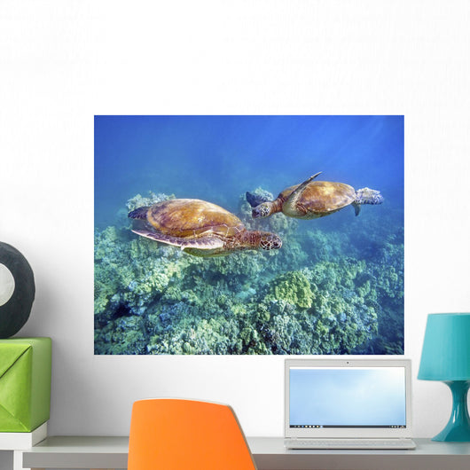Hawaii, Two Green Sea Turtles, An Endangered Species Wall Mural