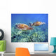 Hawaii, Two Green Sea Turtles, An Endangered Species Wall Mural