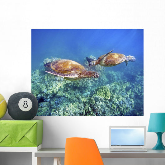 Hawaii, Two Green Sea Turtles, An Endangered Species Wall Mural