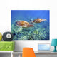 Hawaii, Two Green Sea Turtles, An Endangered Species Wall Mural
