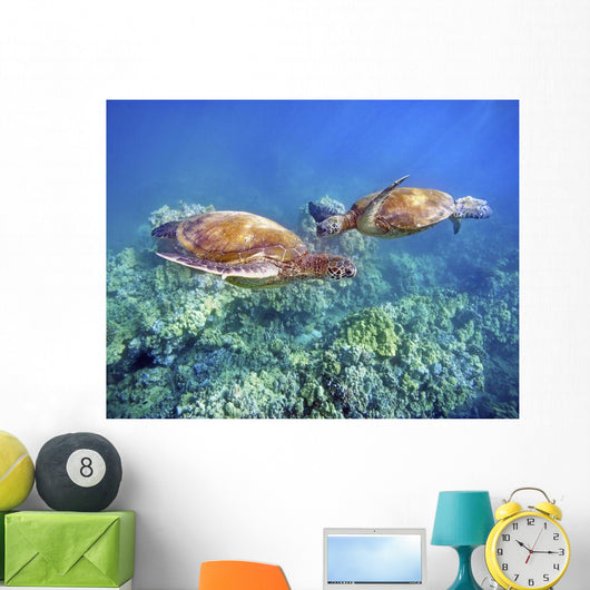 Hawaii, Two Green Sea Turtles, An Endangered Species Wall Mural