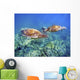 Hawaii, Two Green Sea Turtles, An Endangered Species Wall Mural