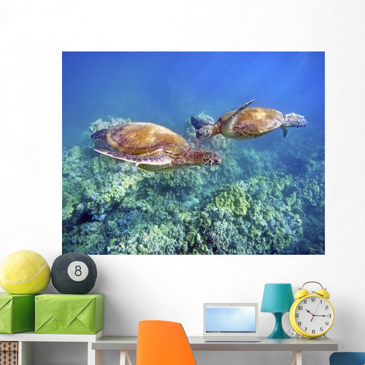 Hawaii, Two Green Sea Turtles, An Endangered Species Wall Mural