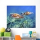 Hawaii, Two Green Sea Turtles, An Endangered Species Wall Mural