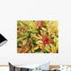 USA, Hawaii, Cluster Of Colorful Bromeliad Plants Wall Mural