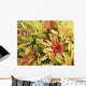USA, Hawaii, Cluster Of Colorful Bromeliad Plants Wall Mural