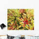 USA, Hawaii, Cluster Of Colorful Bromeliad Plants Wall Mural