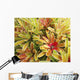 USA, Hawaii, Cluster Of Colorful Bromeliad Plants Wall Mural