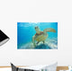 Mexico, Yucatan Peninsula, Green Sea Turtle An Endangered Species Wall Mural
