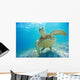 Mexico, Yucatan Peninsula, Green Sea Turtle An Endangered Species Wall Mural