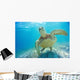 Mexico, Yucatan Peninsula, Green Sea Turtle An Endangered Species Wall Mural