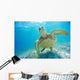 Mexico, Yucatan Peninsula, Green Sea Turtle An Endangered Species Wall Mural