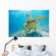 Mexico, Yucatan Peninsula, Green Sea Turtle An Endangered Species Wall Mural