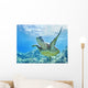USA, Green Sea Turtle An Endangered Species Wall Mural