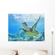 USA, Green Sea Turtle An Endangered Species Wall Mural