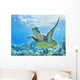 USA, Green Sea Turtle An Endangered Species Wall Mural