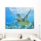 USA, Green Sea Turtle An Endangered Species Wall Mural