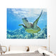 USA, Green Sea Turtle An Endangered Species Wall Mural