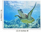 USA, Green Sea Turtle An Endangered Species Wall Mural