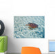 French Polynesia, Bora Bora, Green Sea Turtle An Endangered Species Wall Mural