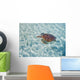 French Polynesia, Bora Bora, Green Sea Turtle An Endangered Species Wall Mural