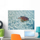 French Polynesia, Bora Bora, Green Sea Turtle An Endangered Species Wall Mural