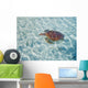 French Polynesia, Bora Bora, Green Sea Turtle An Endangered Species Wall Mural