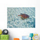 French Polynesia, Bora Bora, Green Sea Turtle An Endangered Species Wall Mural